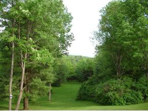988 Pultz Hill Road Owego, NY 13827 - Photo 4 of 10 Gallery Image 4