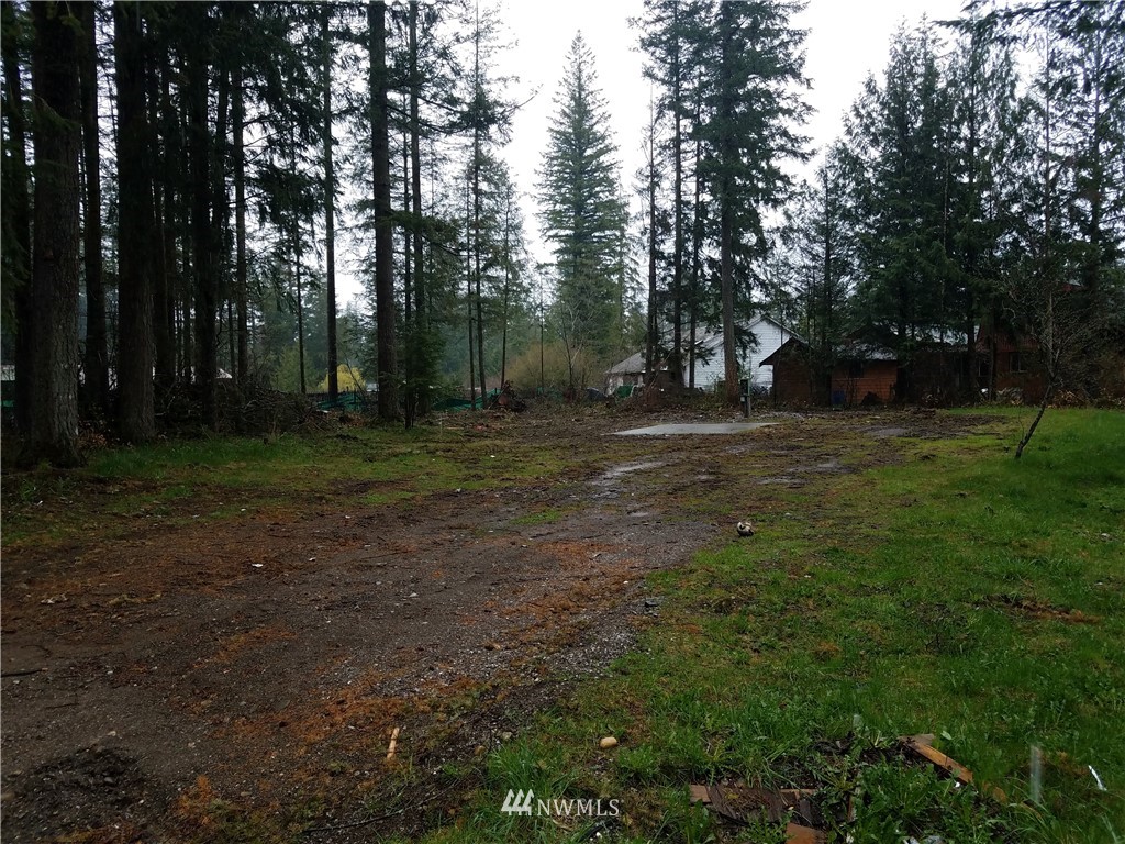 8394 Dolphin Way Maple Falls, WA 98266 - Photo 1 of 4