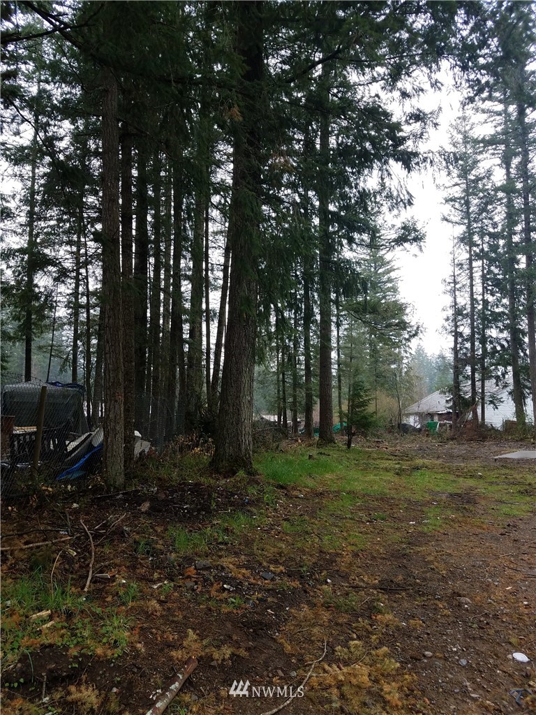 8394 Dolphin Way Maple Falls, WA 98266 - Photo 3 of 4