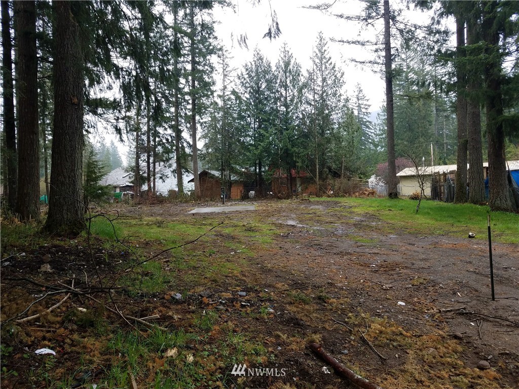 8394 Dolphin Way Maple Falls, WA 98266 - Photo 4 of 4
