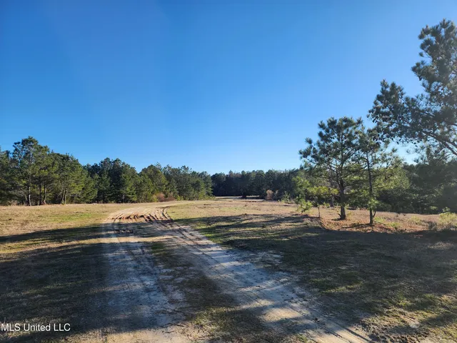$1,990,737 | 0 Lebanon Pinegrove Road, Terry, MS 39170