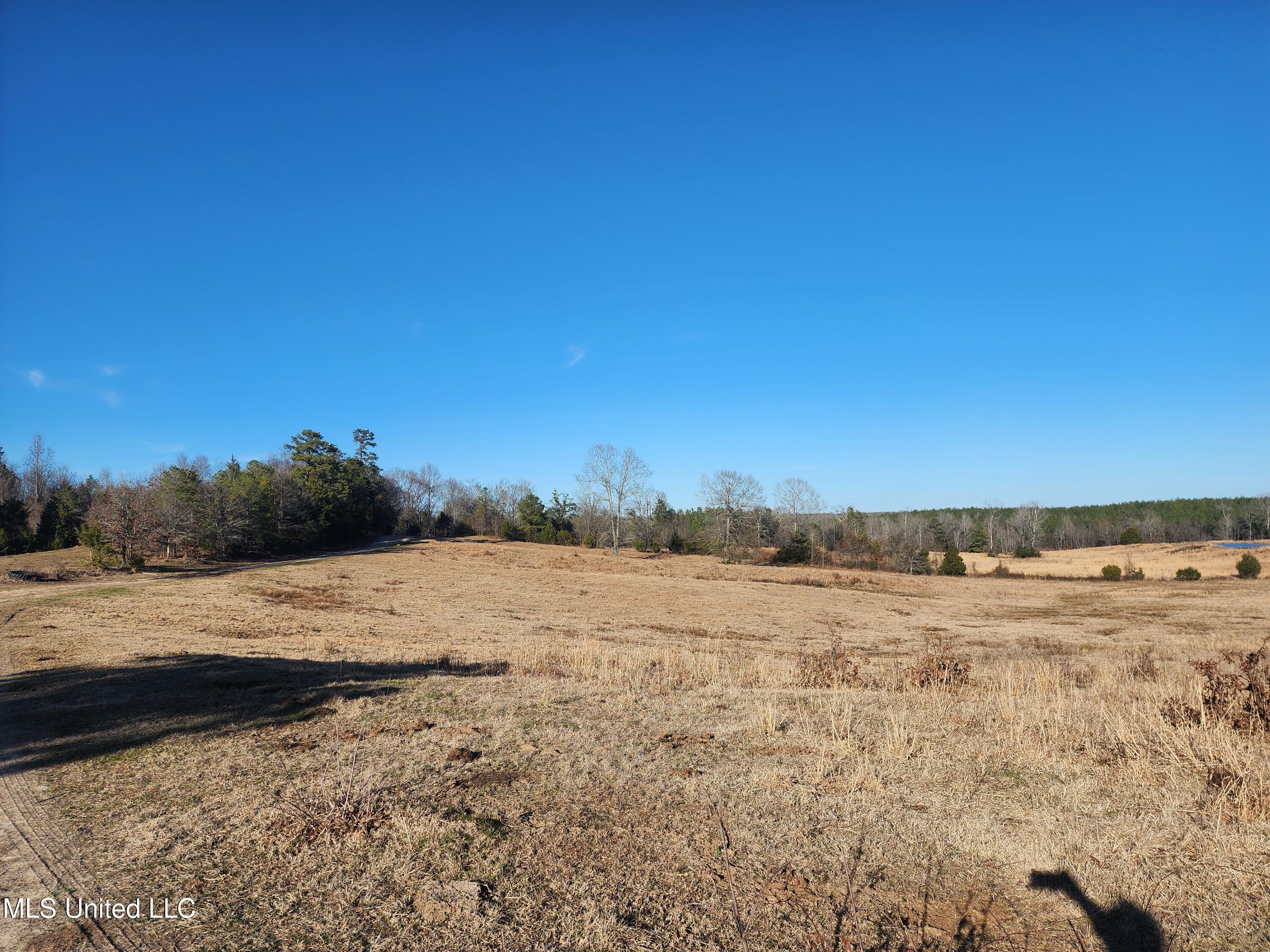 0 Lebanon Pinegrove Road Terry, MS 39170 - Photo 11 of 15 20250202_154339
