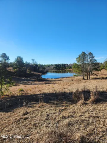 $1,990,737 | 0 Lebanon Pinegrove Road, Terry, MS 39170