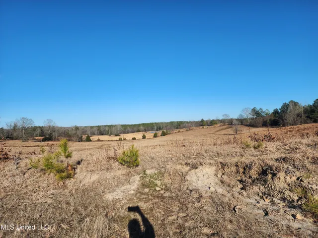 $1,990,737 | 0 Lebanon Pinegrove Road, Terry, MS 39170