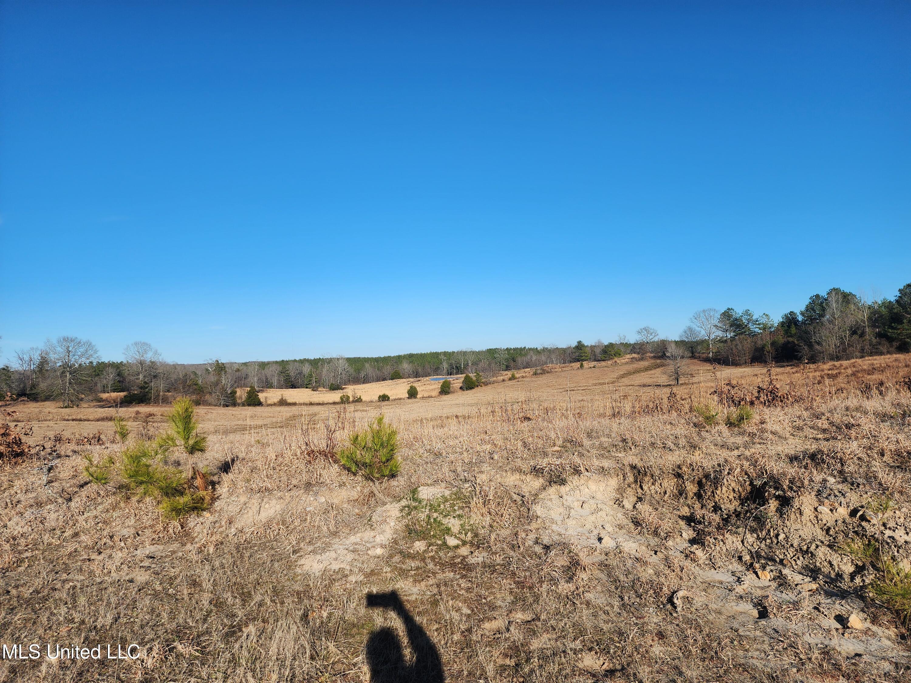 0 Lebanon Pinegrove Road Terry, MS 39170 - Photo 13 of 15 20250202_154249