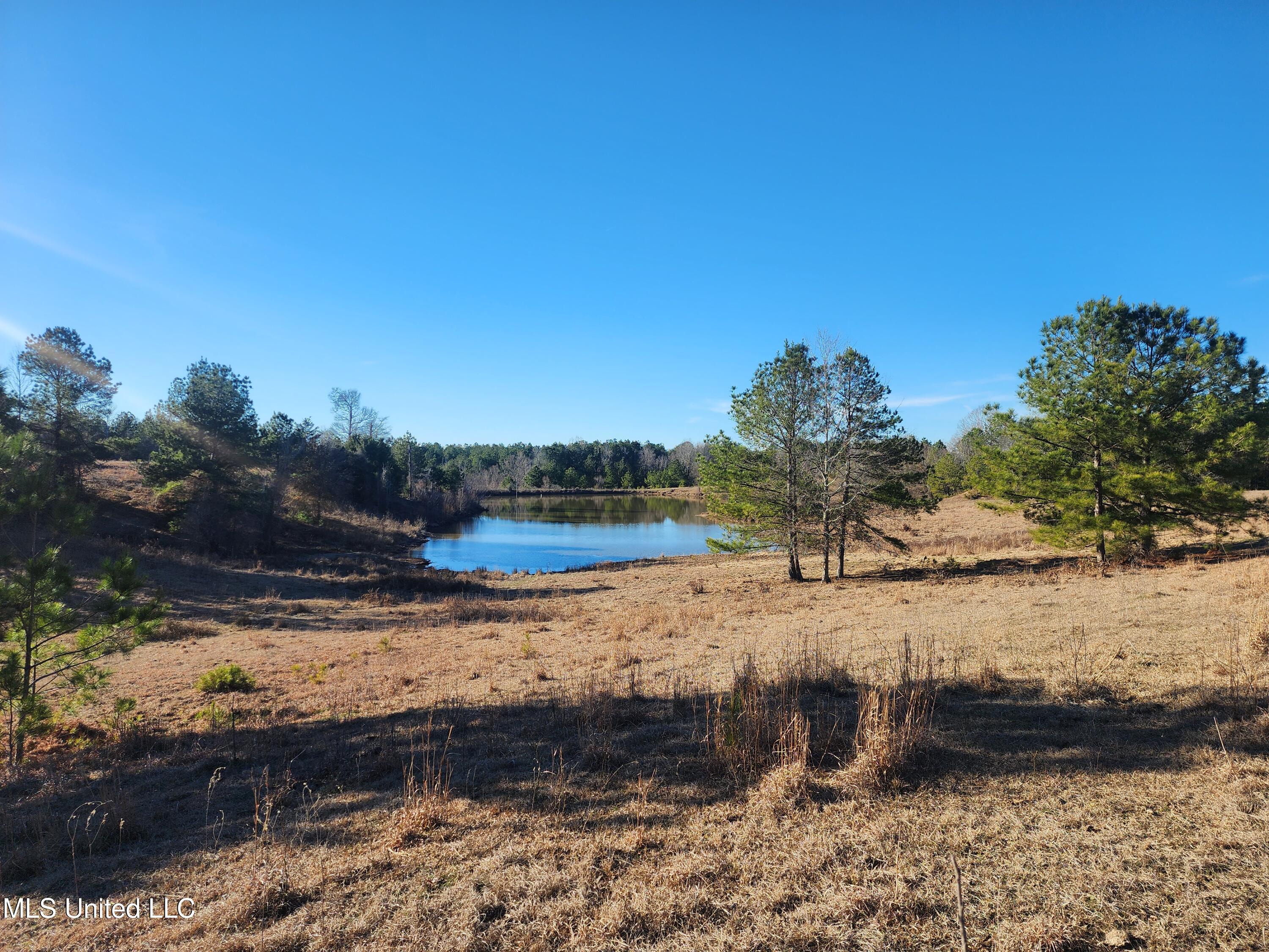 0 Lebanon Pinegrove Road Terry, MS 39170 - Photo 14 of 15 20250202_154233