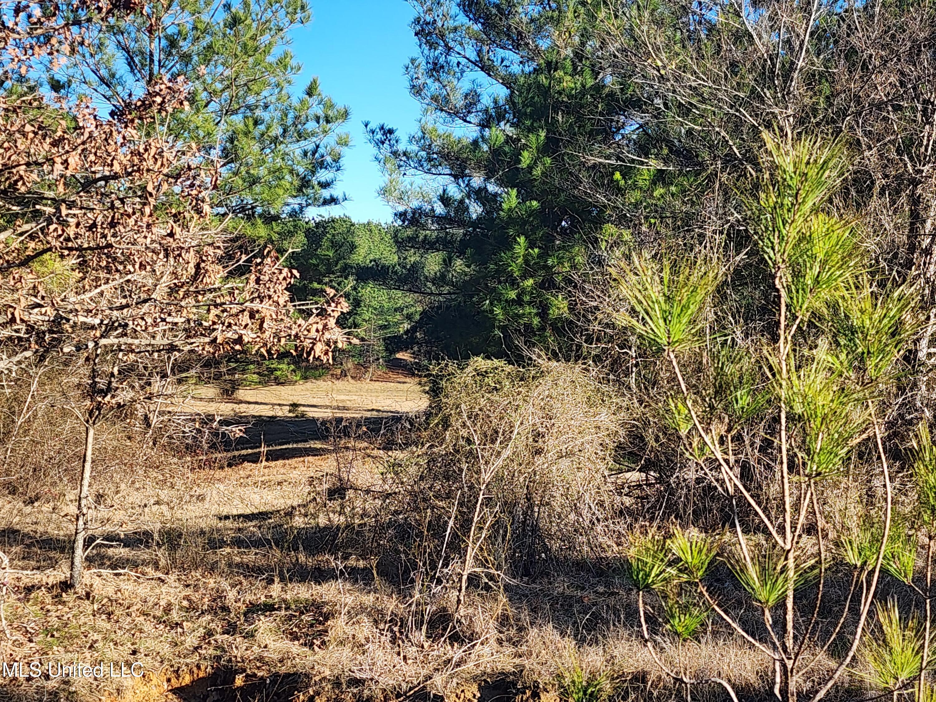 0 Lebanon Pinegrove Road Terry, MS 39170 - Photo 15 of 15 20250202_160029