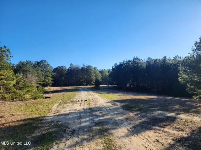 $1,990,737 | 0 Lebanon Pinegrove Road, Terry, MS 39170