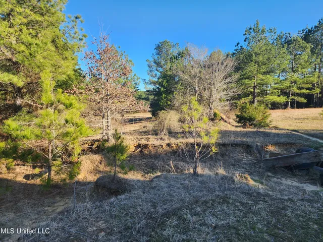 $1,990,737 | 0 Lebanon Pinegrove Road, Terry, MS 39170