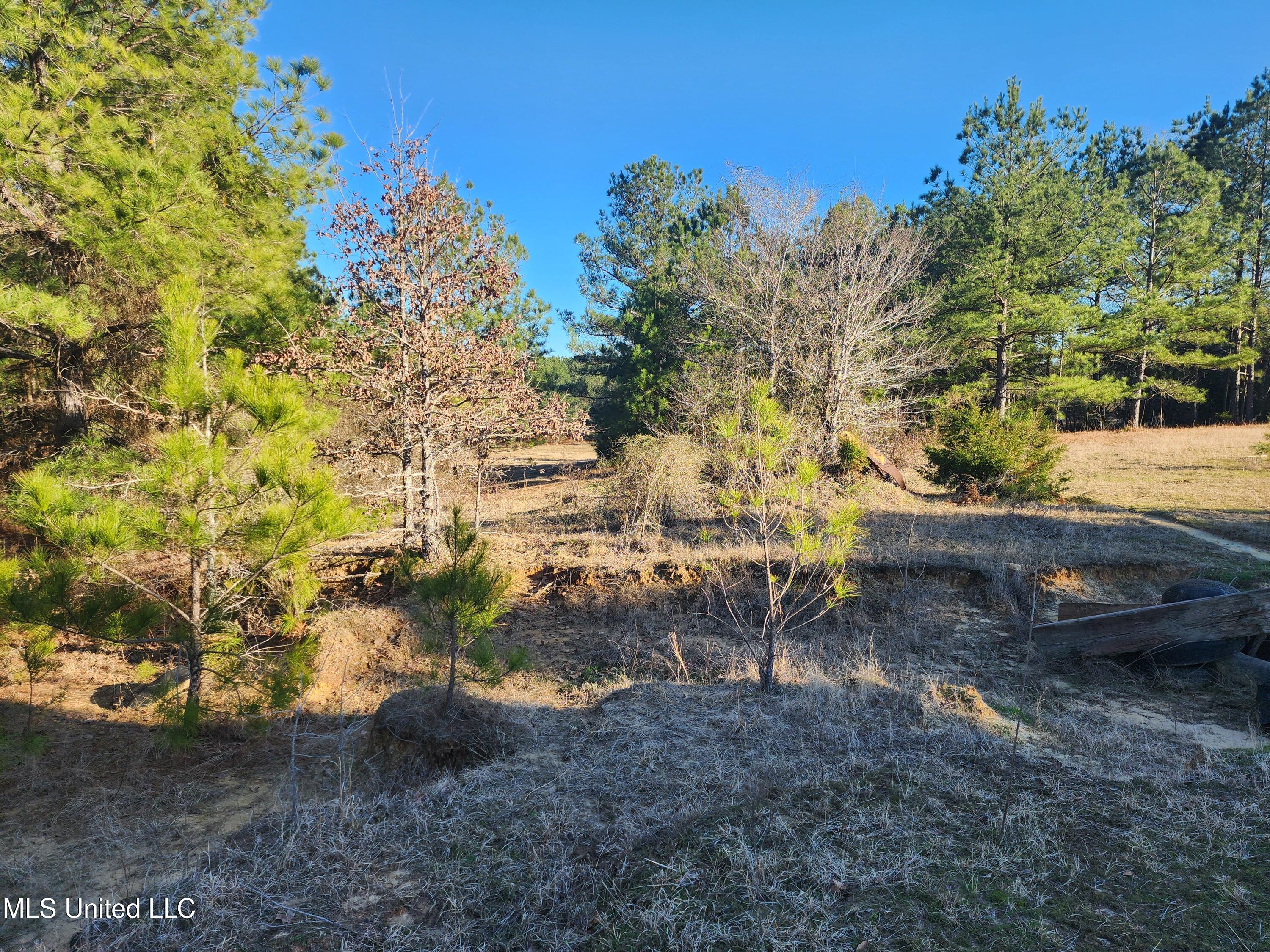0 Lebanon Pinegrove Road Terry, MS 39170 - Photo 3 of 15 20250202_160016