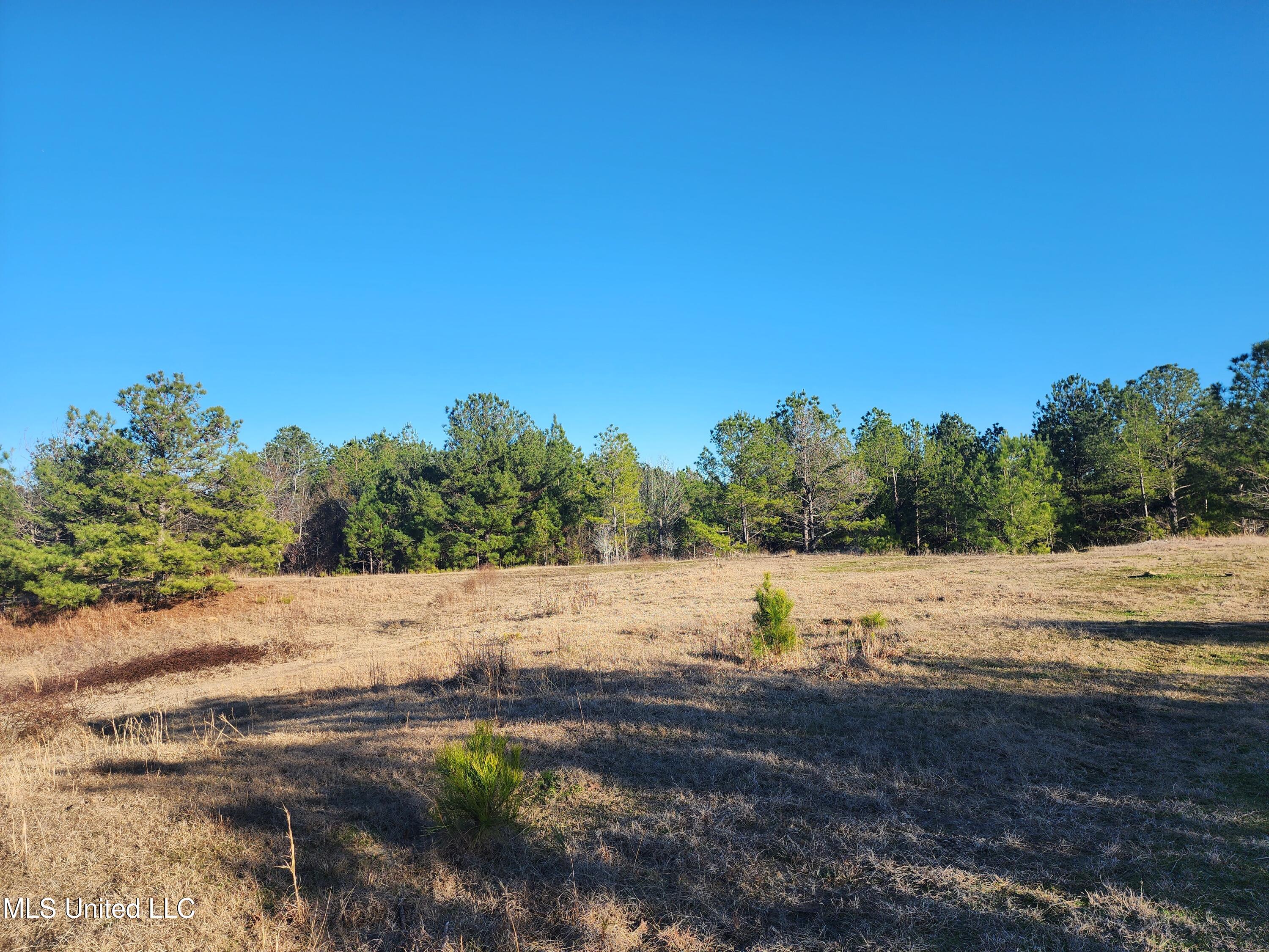 0 Lebanon Pinegrove Road Terry, MS 39170 - Photo 4 of 15 20250202_155708