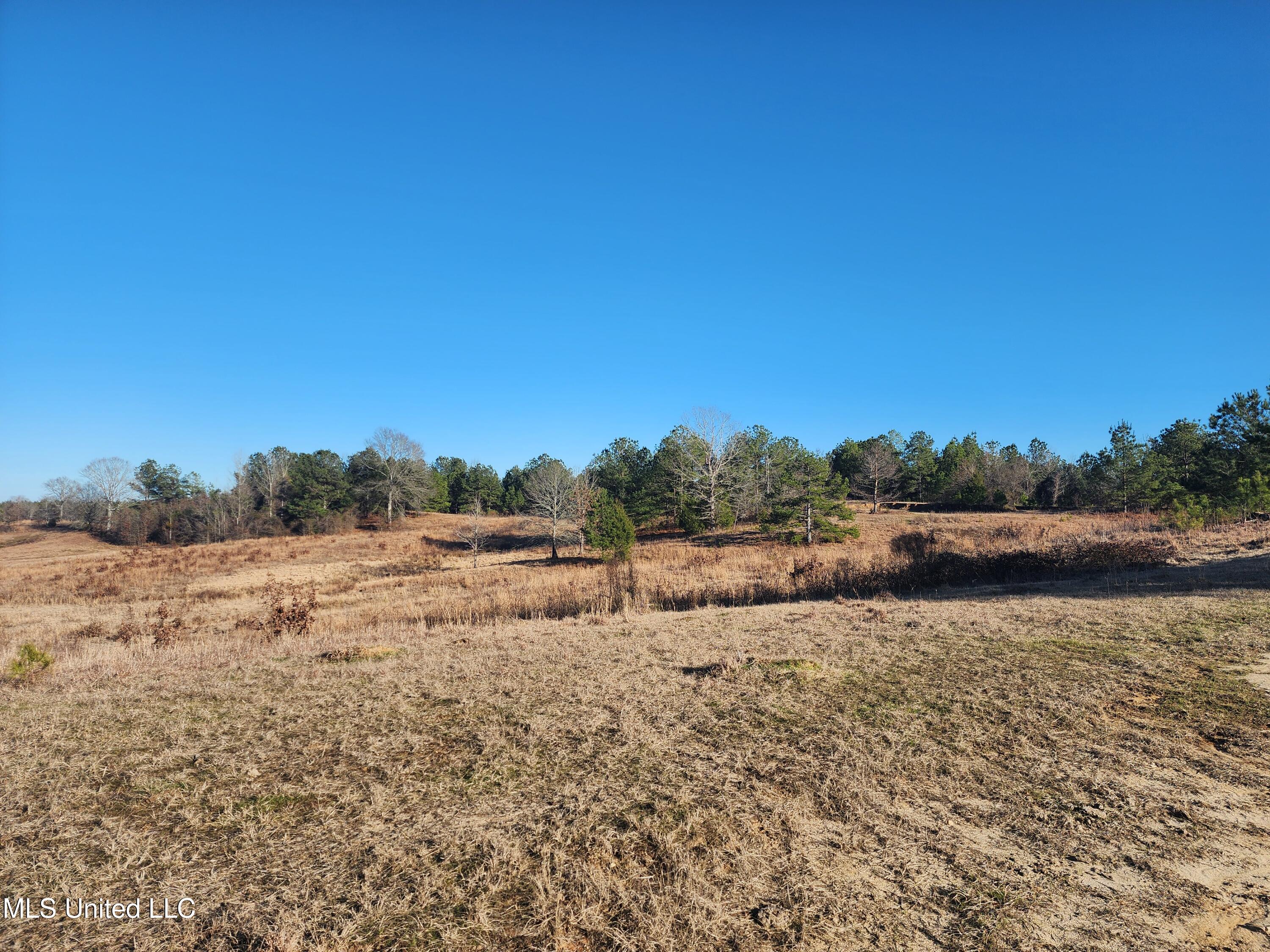 0 Lebanon Pinegrove Road Terry, MS 39170 - Photo 5 of 15 20250202_155503