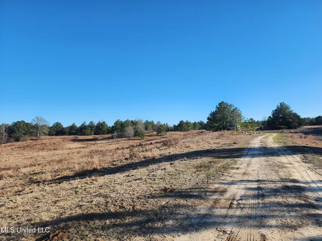 $1,990,737 | 0 Lebanon Pinegrove Road, Terry, MS 39170