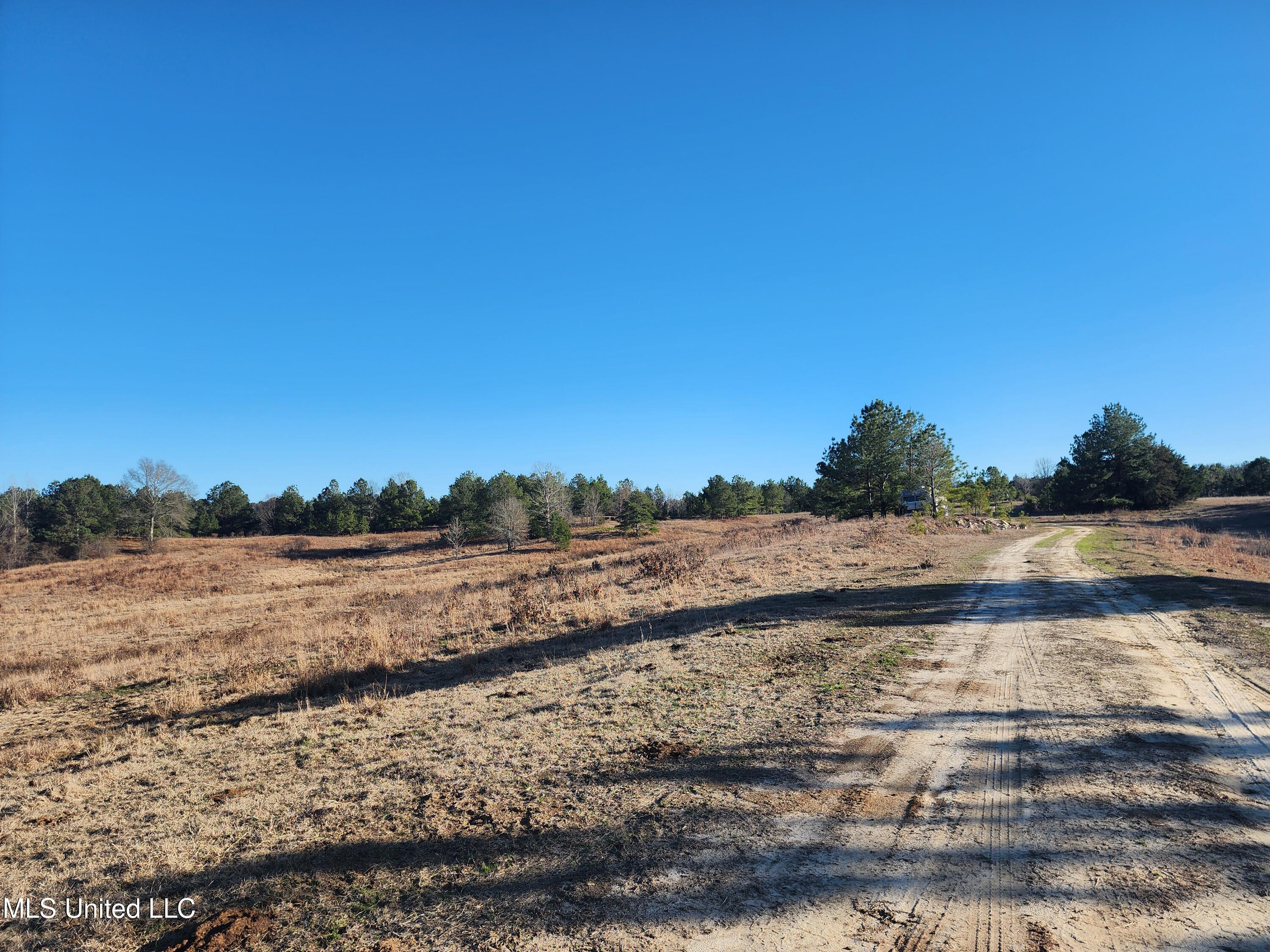 0 Lebanon Pinegrove Road Terry, MS 39170 - Photo 6 of 15 20250202_155254