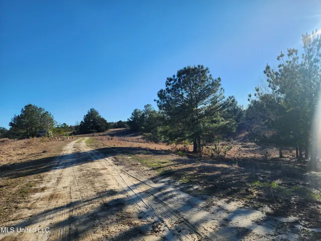 $1,990,737 | 0 Lebanon Pinegrove Road, Terry, MS 39170