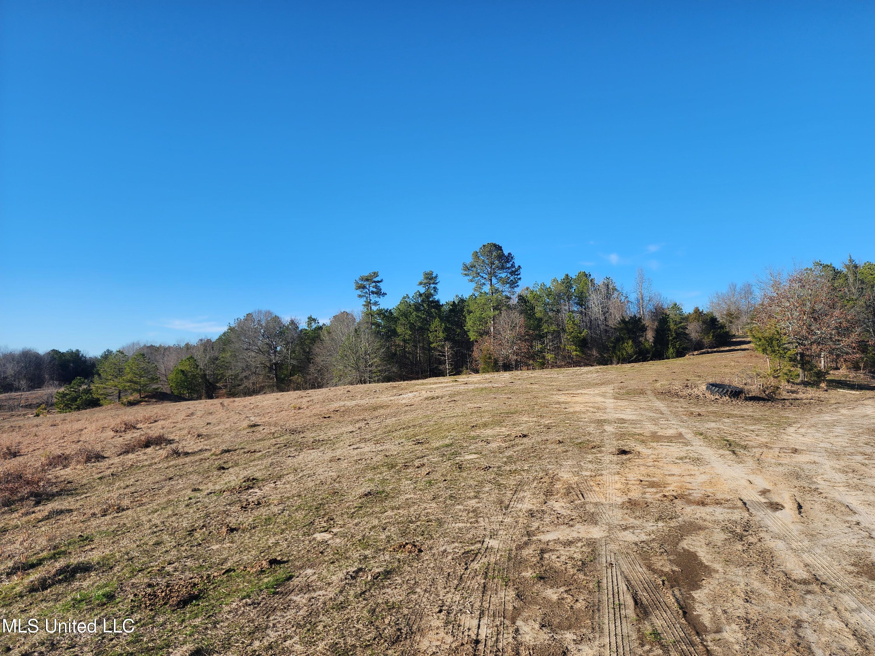 0 Lebanon Pinegrove Road Terry, MS 39170 - Photo 8 of 15 20250202_154431
