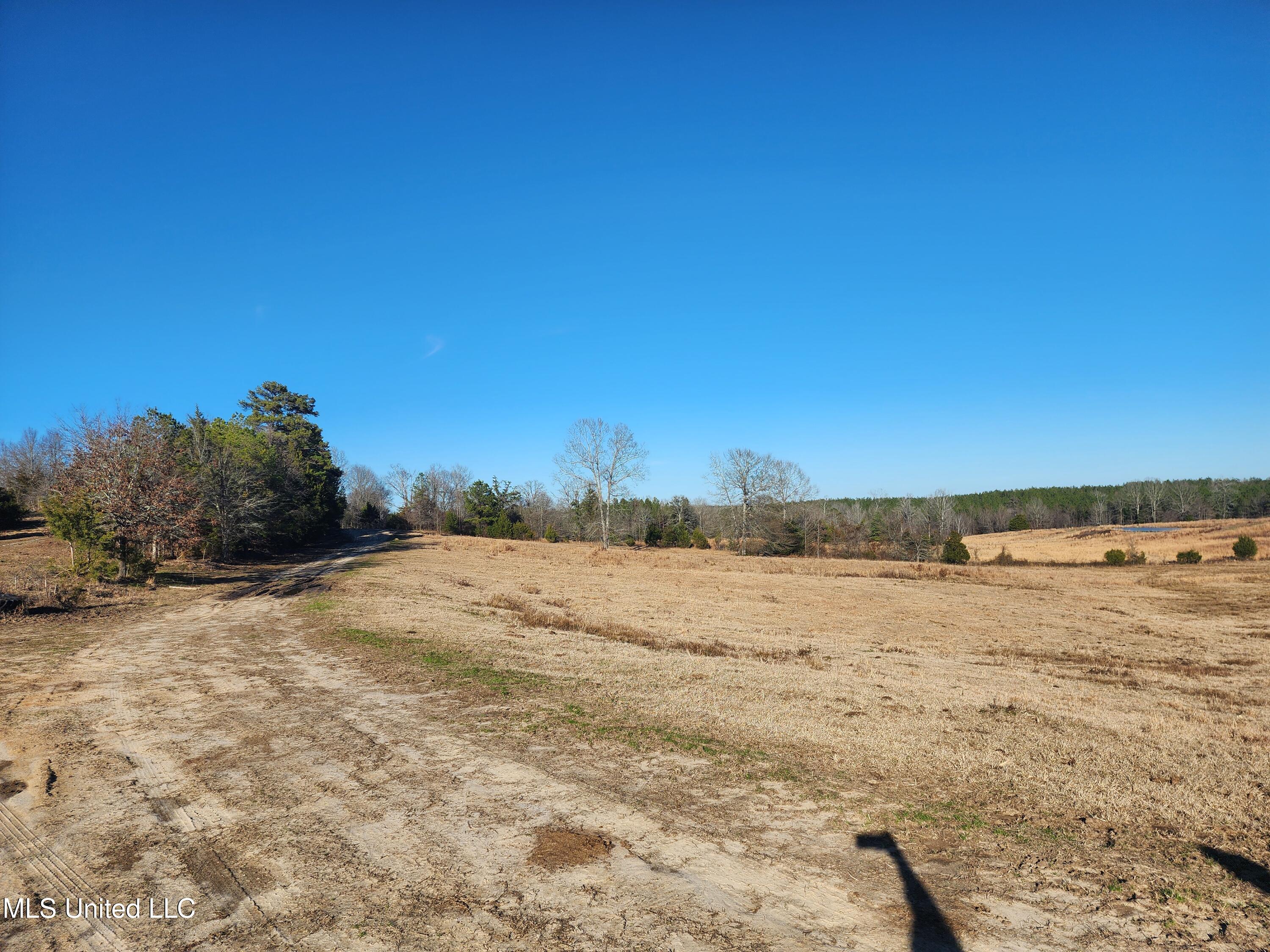 0 Lebanon Pinegrove Road Terry, MS 39170 - Photo 9 of 15 20250202_154435