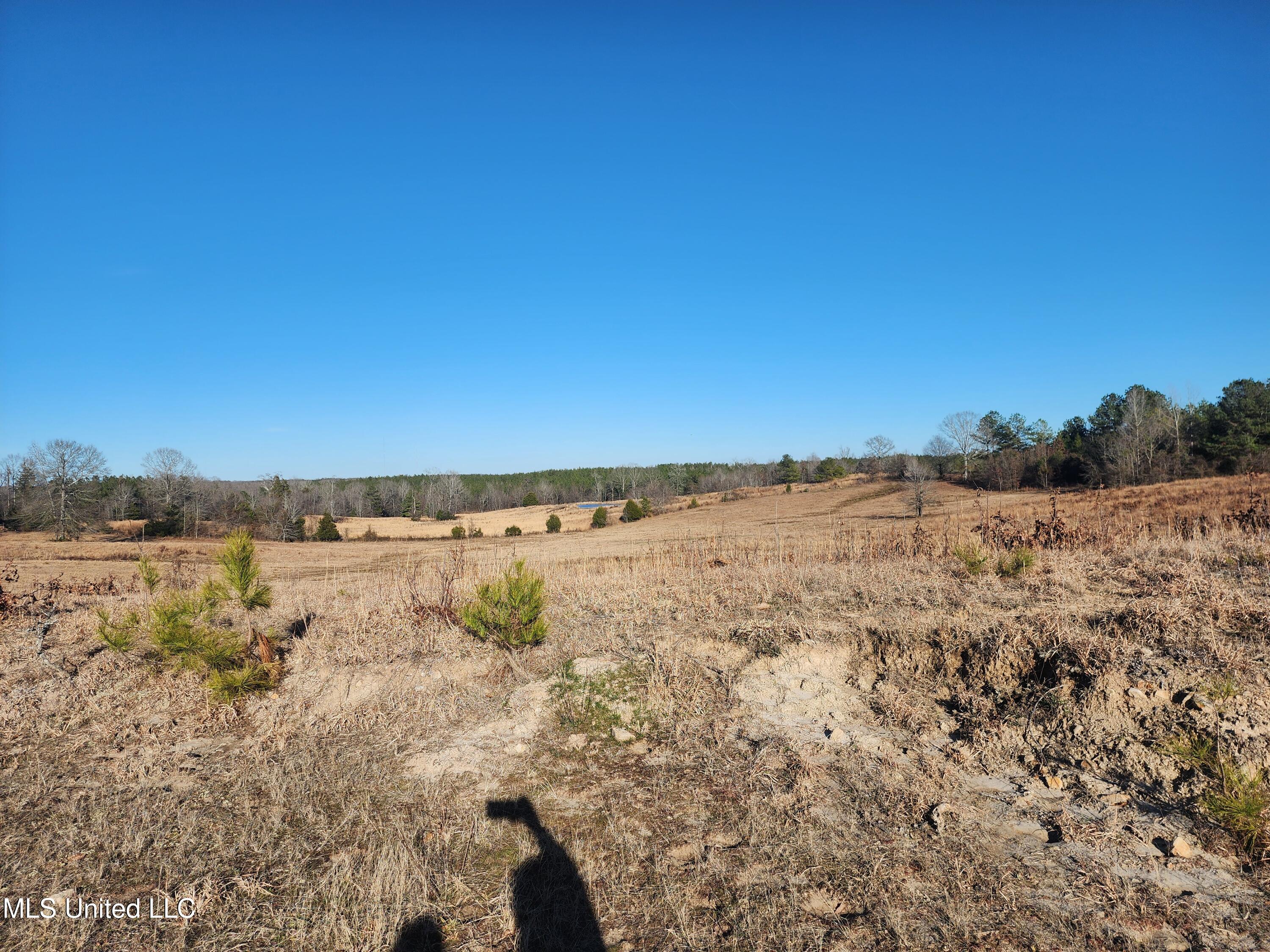 0 Lebanon Pinegrove Road Terry, MS 39170 - Photo 10 of 15 20250202_154255