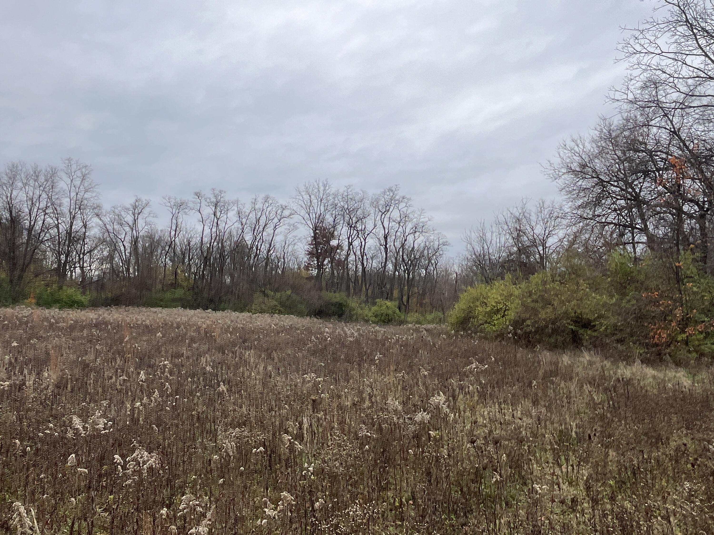 9237 Dog Leg Road Dayton, OH 45414 - Photo 27 of 33 IMG_2490