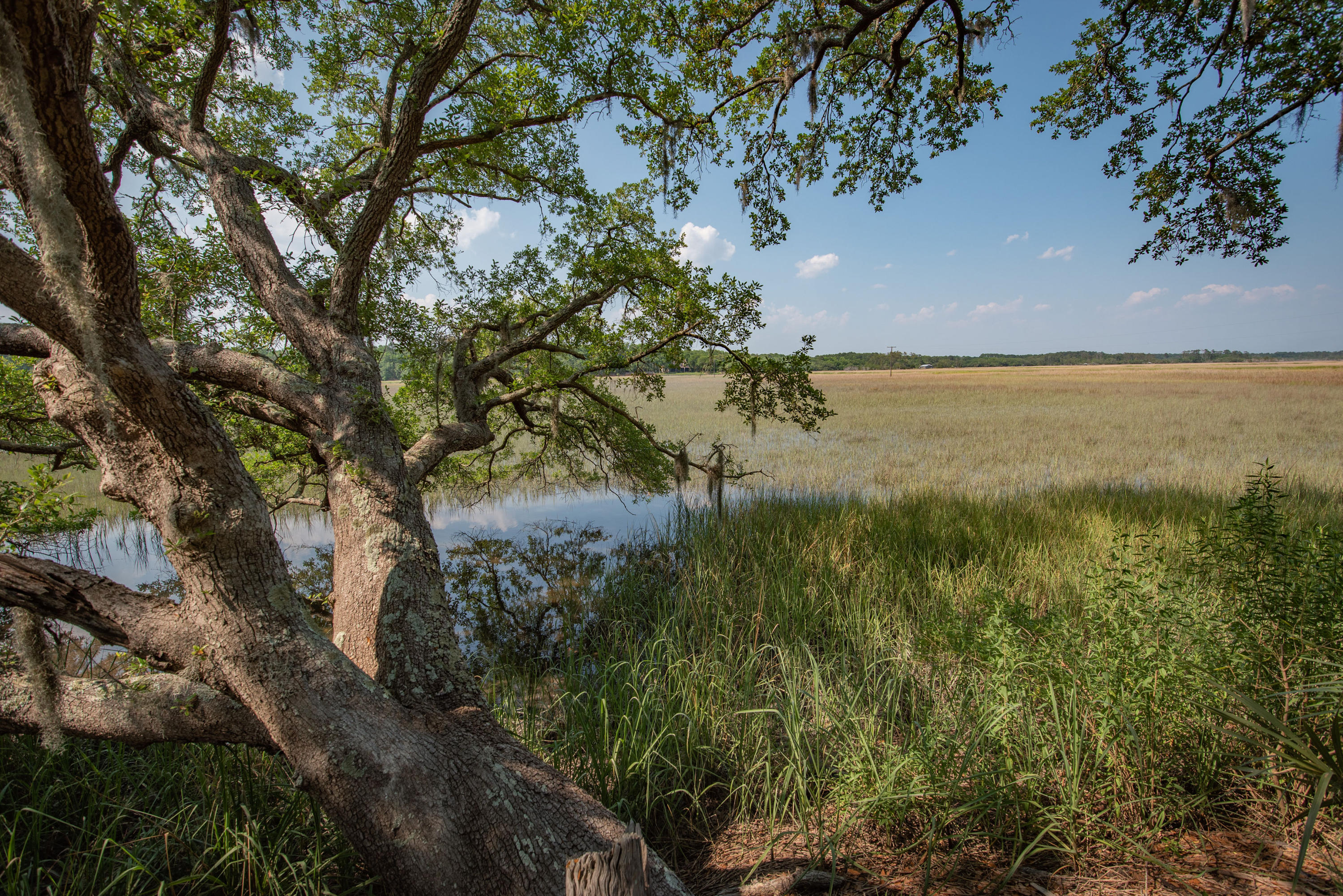 8942 Sandy Creek Road Edisto Island, SC 29438 - Photo 11 of 20 8942SandyCreekRd-4