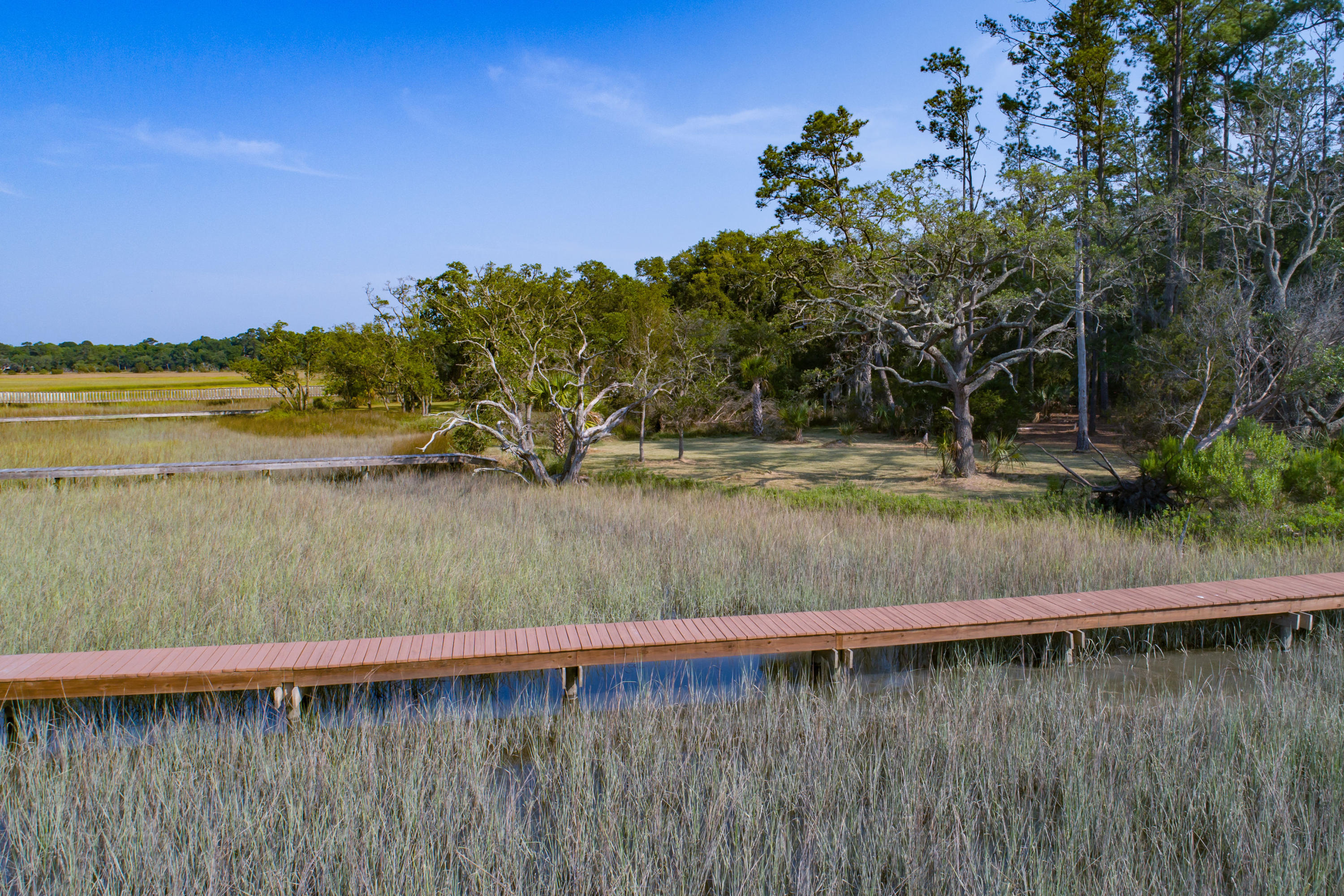 8942 Sandy Creek Road Edisto Island, SC 29438 - Photo 15 of 20 8942SandyCreekRd-8