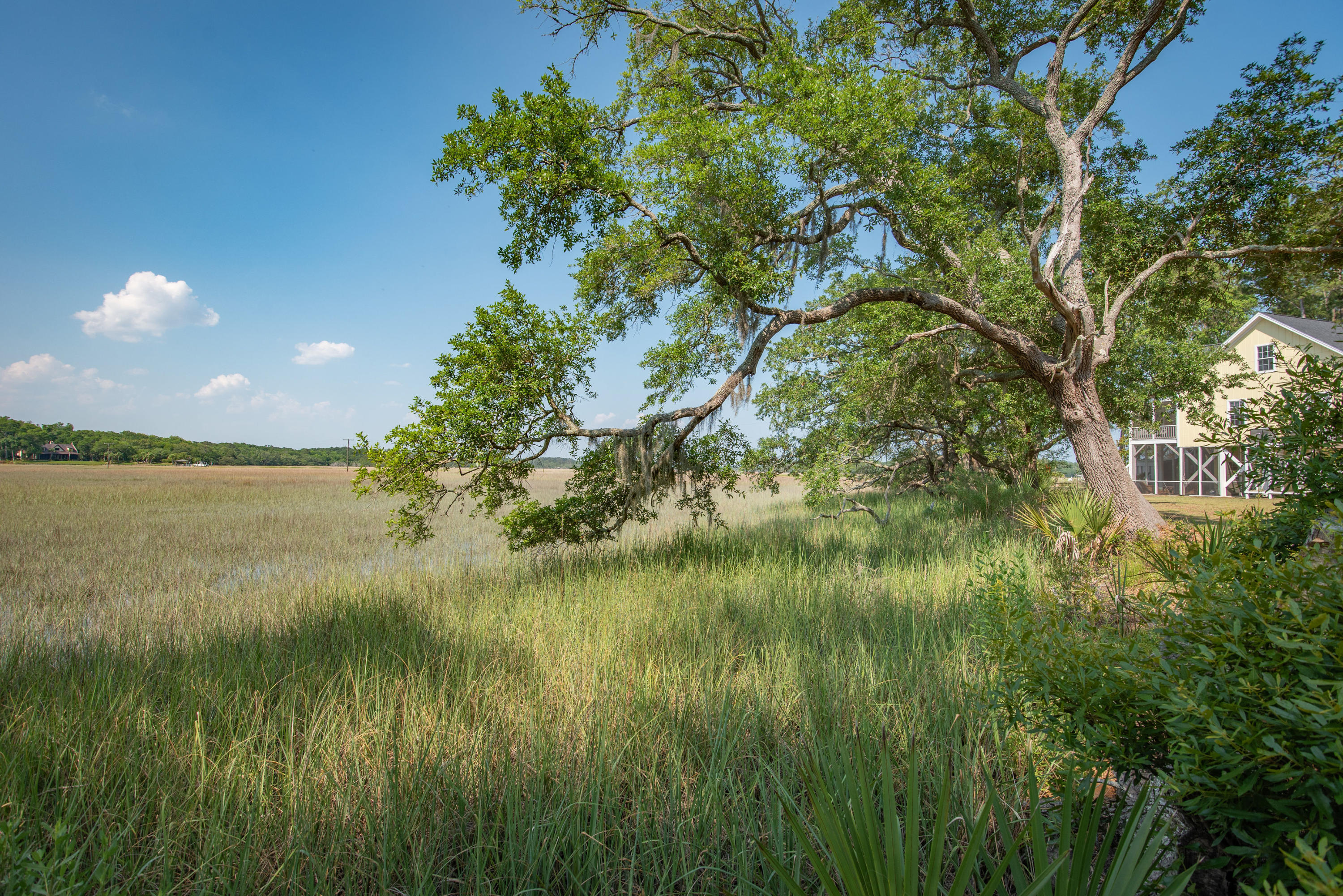 8942 Sandy Creek Road Edisto Island, SC 29438 - Photo 17 of 20 8942SandyCreekRd-6