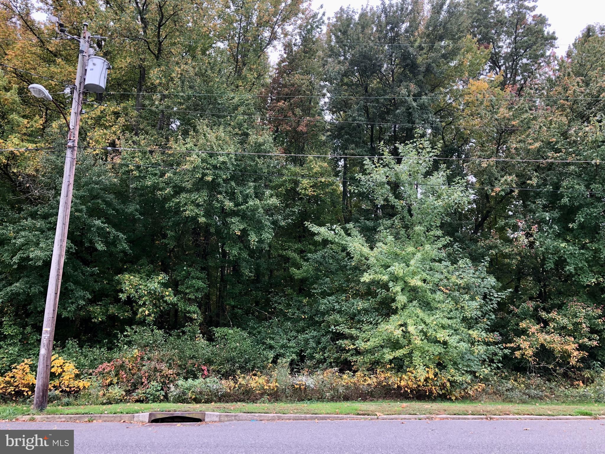 2 4 5 Memorial Avenue Gibbstown, NJ 08027 - Photo 1 of 4 a view of a forest with a tree