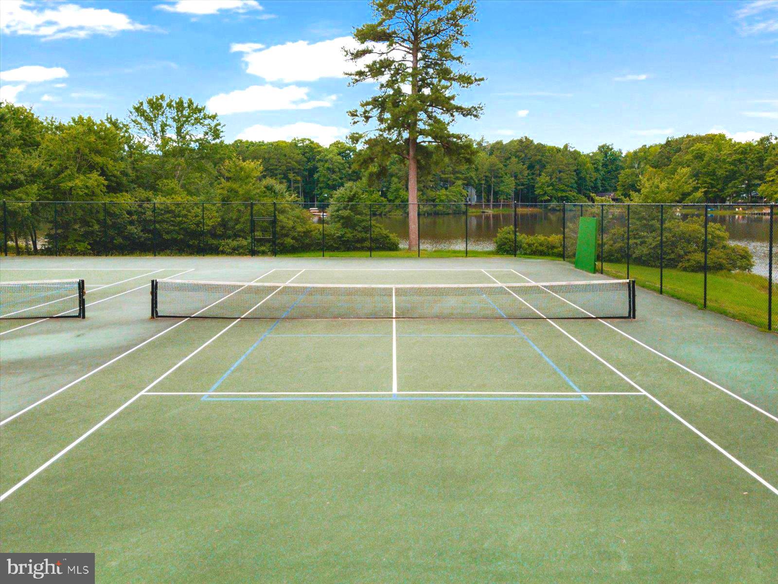 16 Merrimac Cove Ruther Glen, VA 22546 - Photo 107 of 107