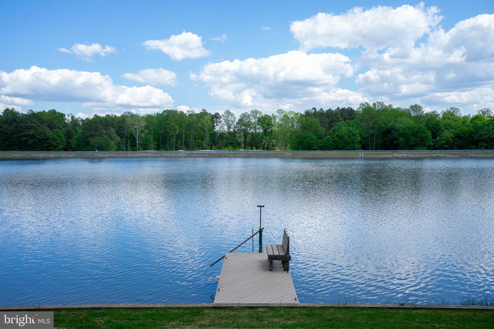 16 Merrimac Cove Ruther Glen, VA 22546 - Photo 5 of 107