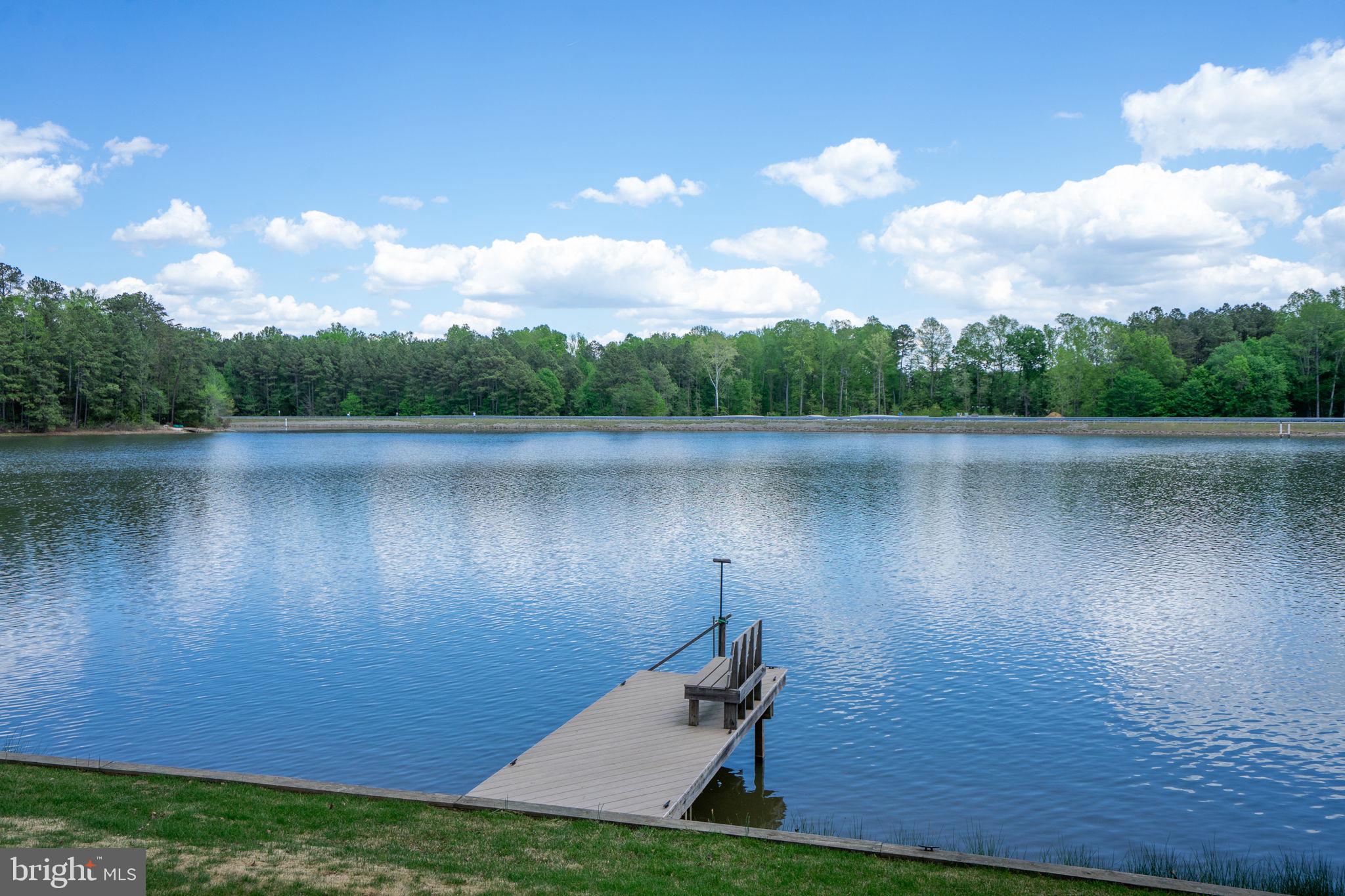 16 Merrimac Cove Ruther Glen, VA 22546 - Photo 55 of 107