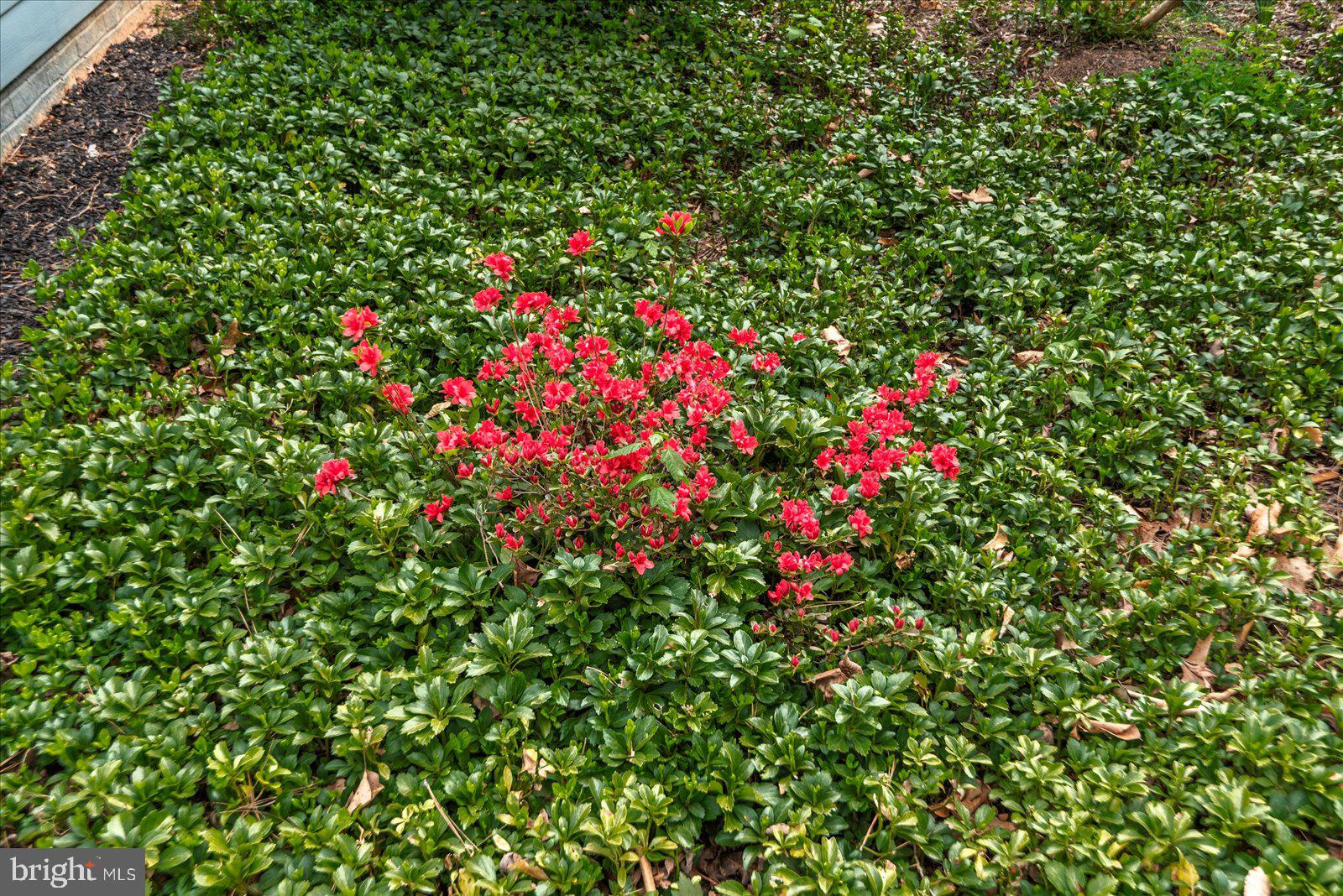 16 Merrimac Cove Ruther Glen, VA 22546 - Photo 64 of 107