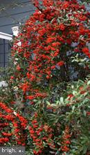 16 Merrimac Cove Ruther Glen, VA 22546 - Photo 65 of 107