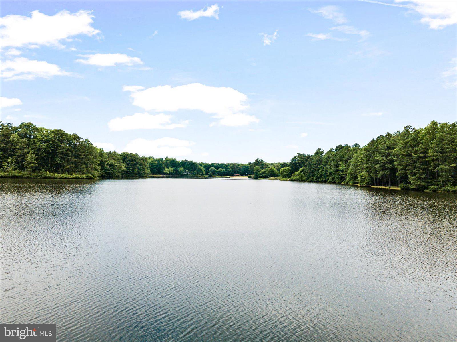 16 Merrimac Cove Ruther Glen, VA 22546 - Photo 95 of 107