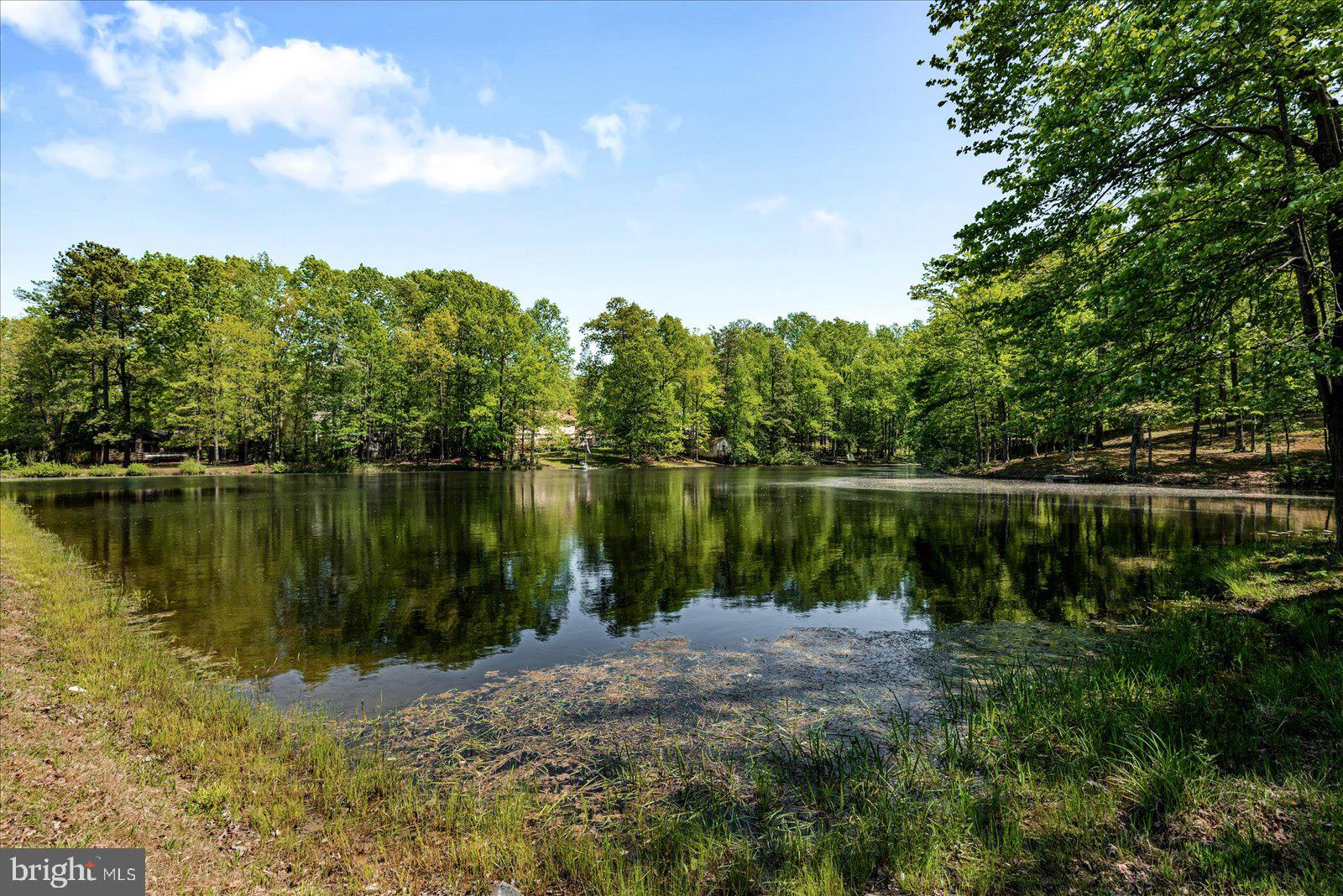 16 Merrimac Cove Ruther Glen, VA 22546 - Photo 96 of 107