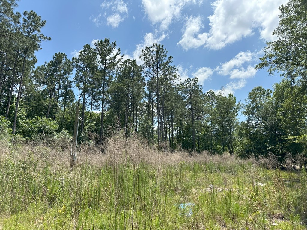 Lot 7 South Springhill Road Gordon, AL 36343 - Photo 14 of 14