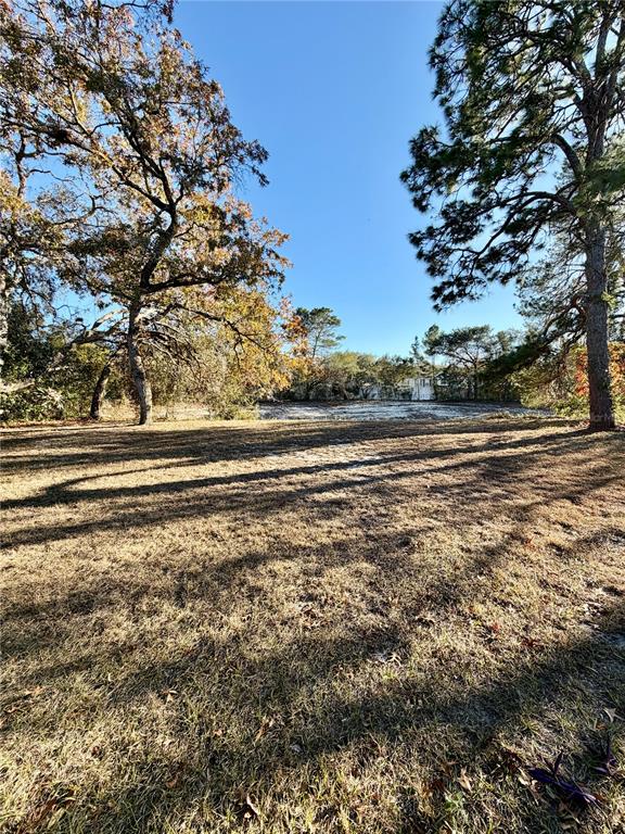 4398 Plumosa Street Spring Hill, FL 34607 - Photo 27 of 28
