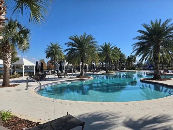 a view of swimming pool with palm trees