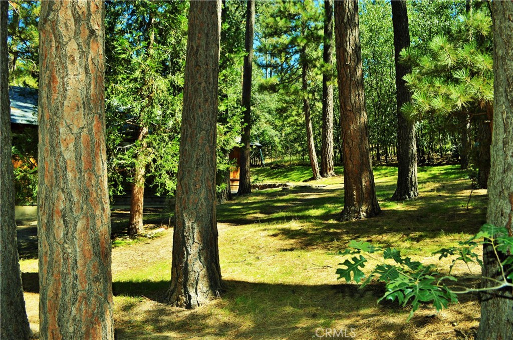 53337 Tollgate Road Idyllwild, CA 92549 - Photo 26 of 30 a view of a lake with large trees