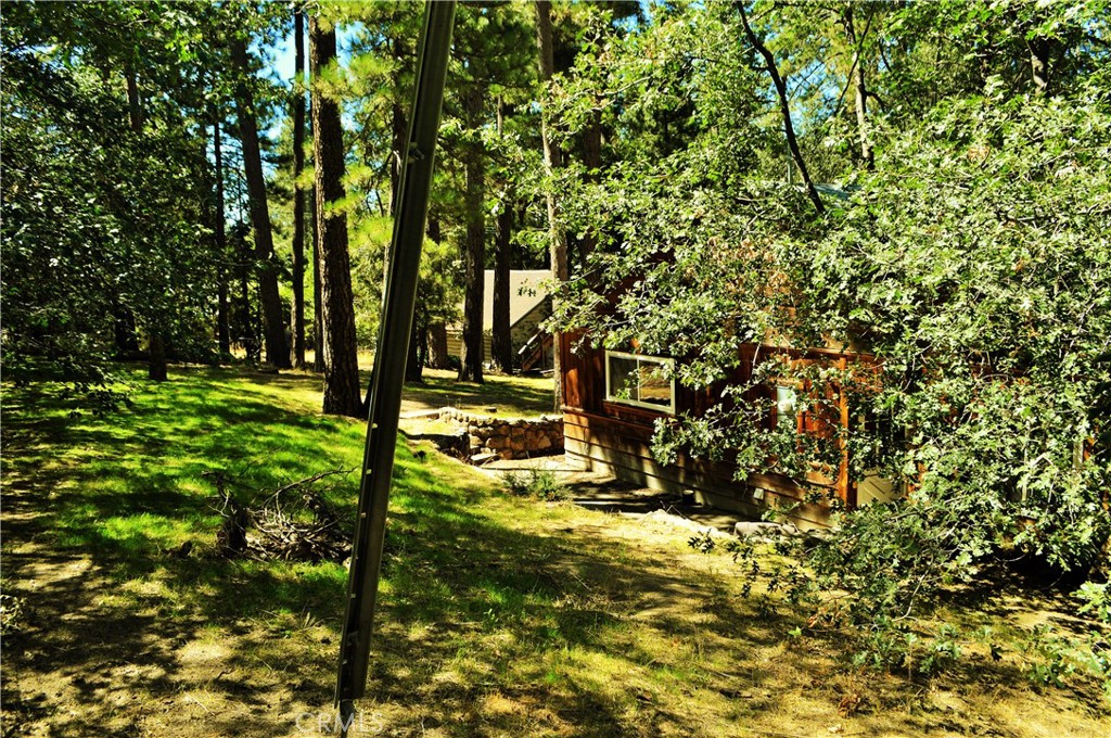 53337 Tollgate Road Idyllwild, CA 92549 - Photo 6 of 30 a view of yard with green space