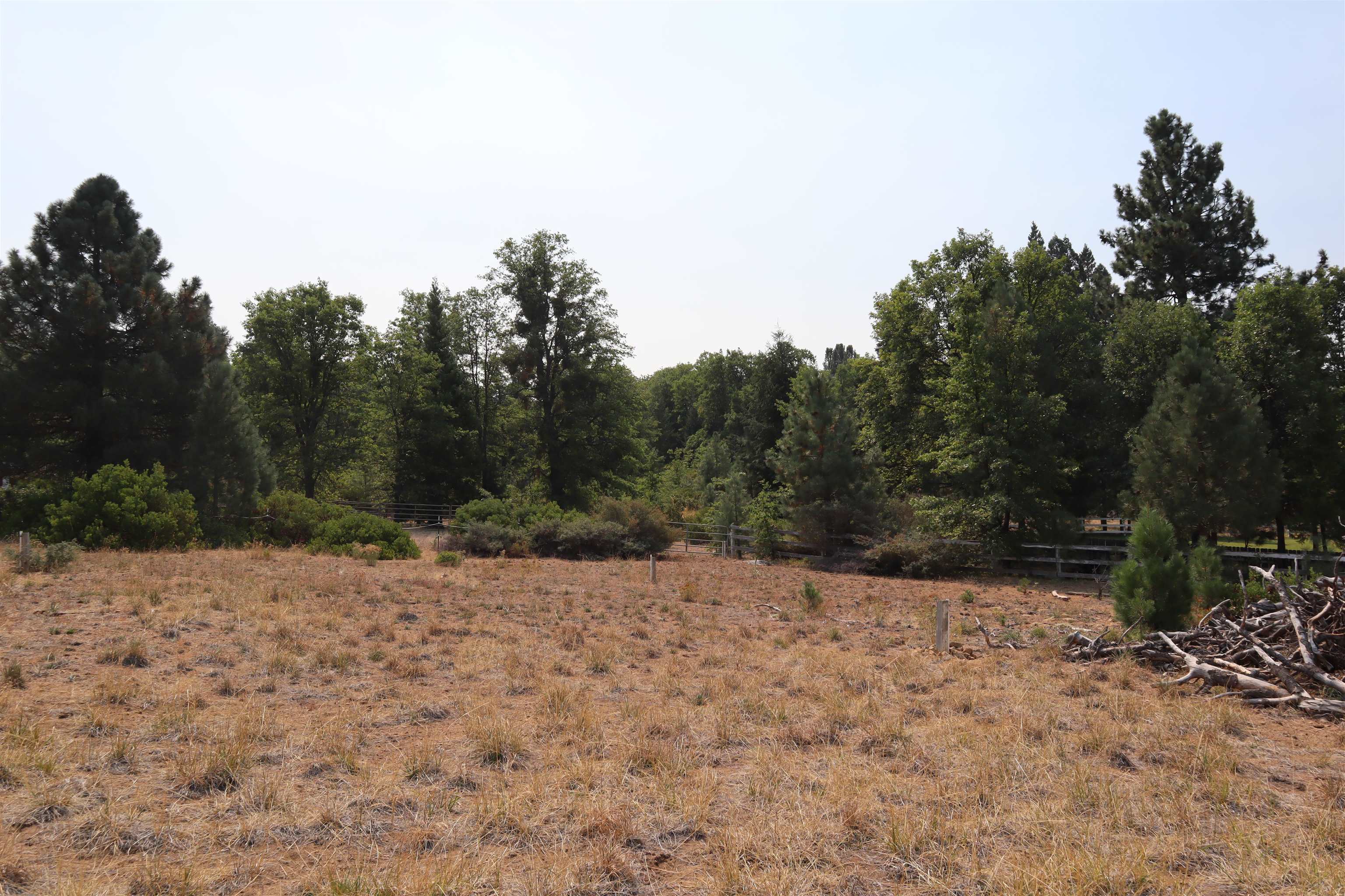 0 Old McCloud Road Mount Shasta, CA 96067 - Photo 15 of 18 Gallery Image 15