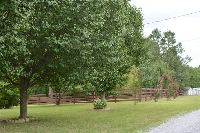 Fenced in side yard