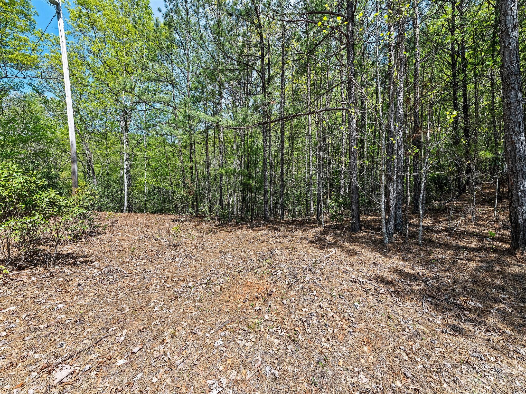 0 Cherokee Mine Road Franklin, NC 28734 - Photo 11 of 16 Gallery Image 11
