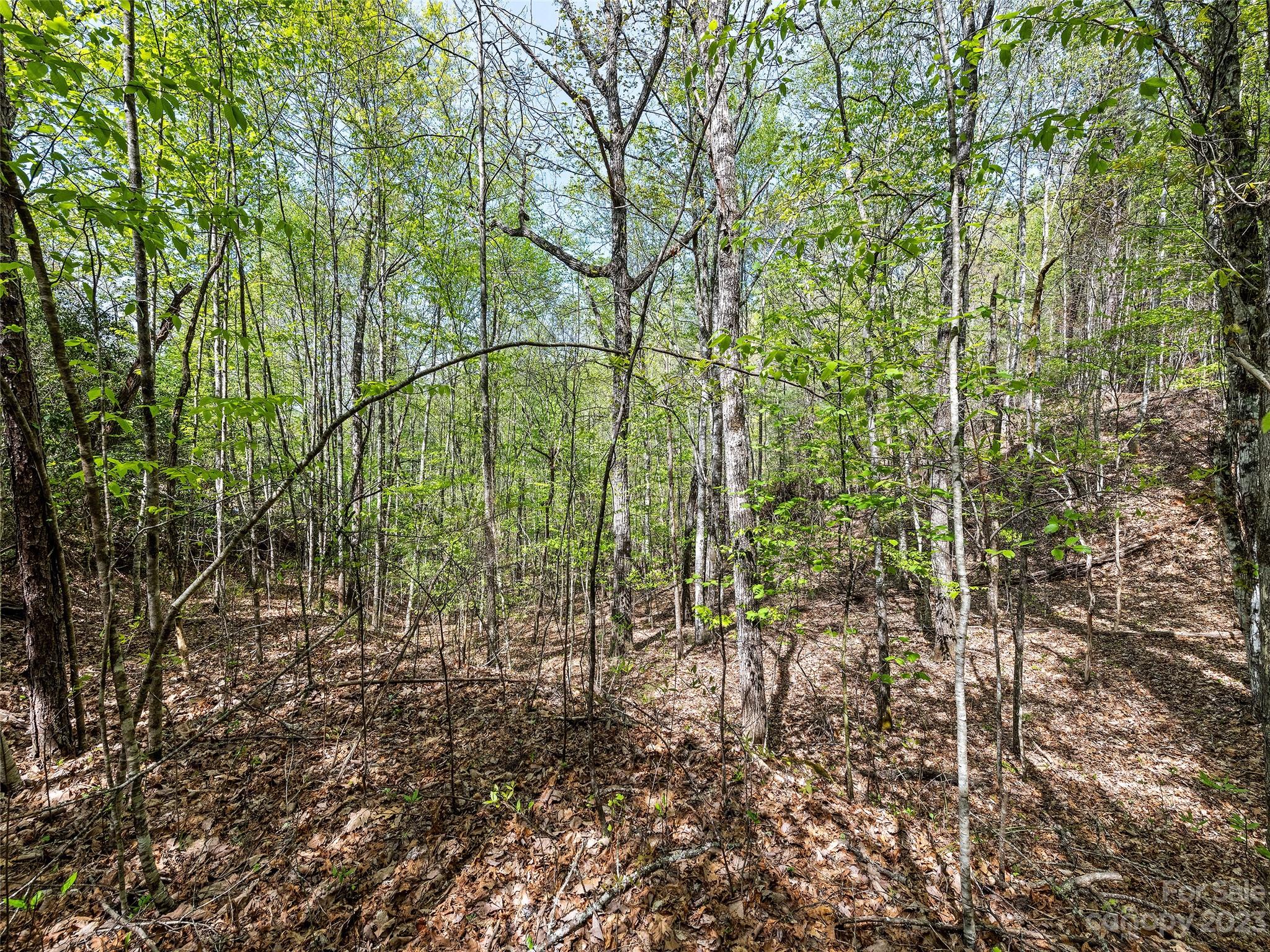 0 Cherokee Mine Road Franklin, NC 28734 - Photo 12 of 16 Gallery Image 12