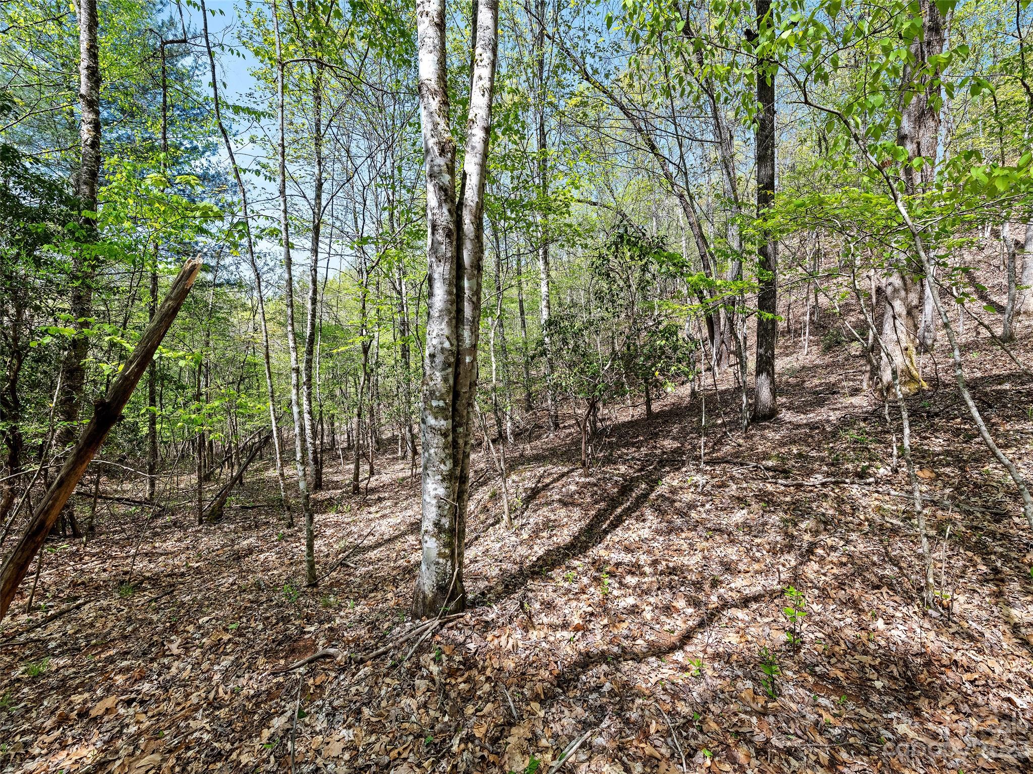 0 Cherokee Mine Road Franklin, NC 28734 - Photo 14 of 16 Gallery Image 14