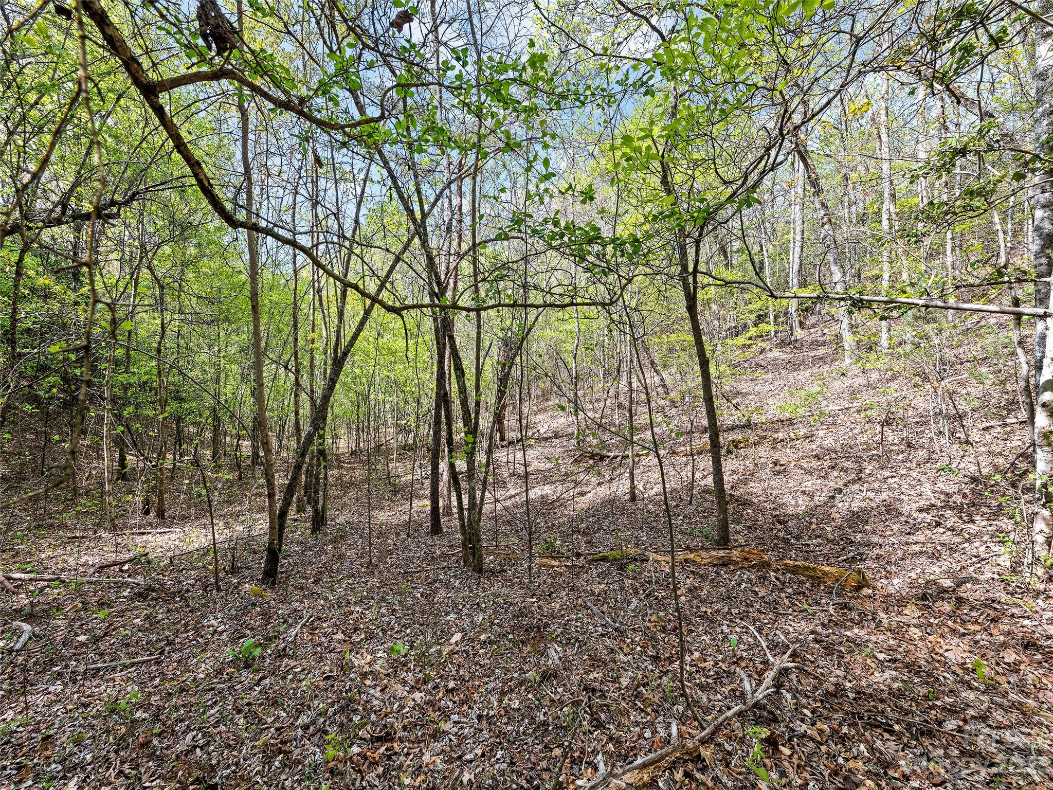 0 Cherokee Mine Road Franklin, NC 28734 - Photo 15 of 16 Gallery Image 15