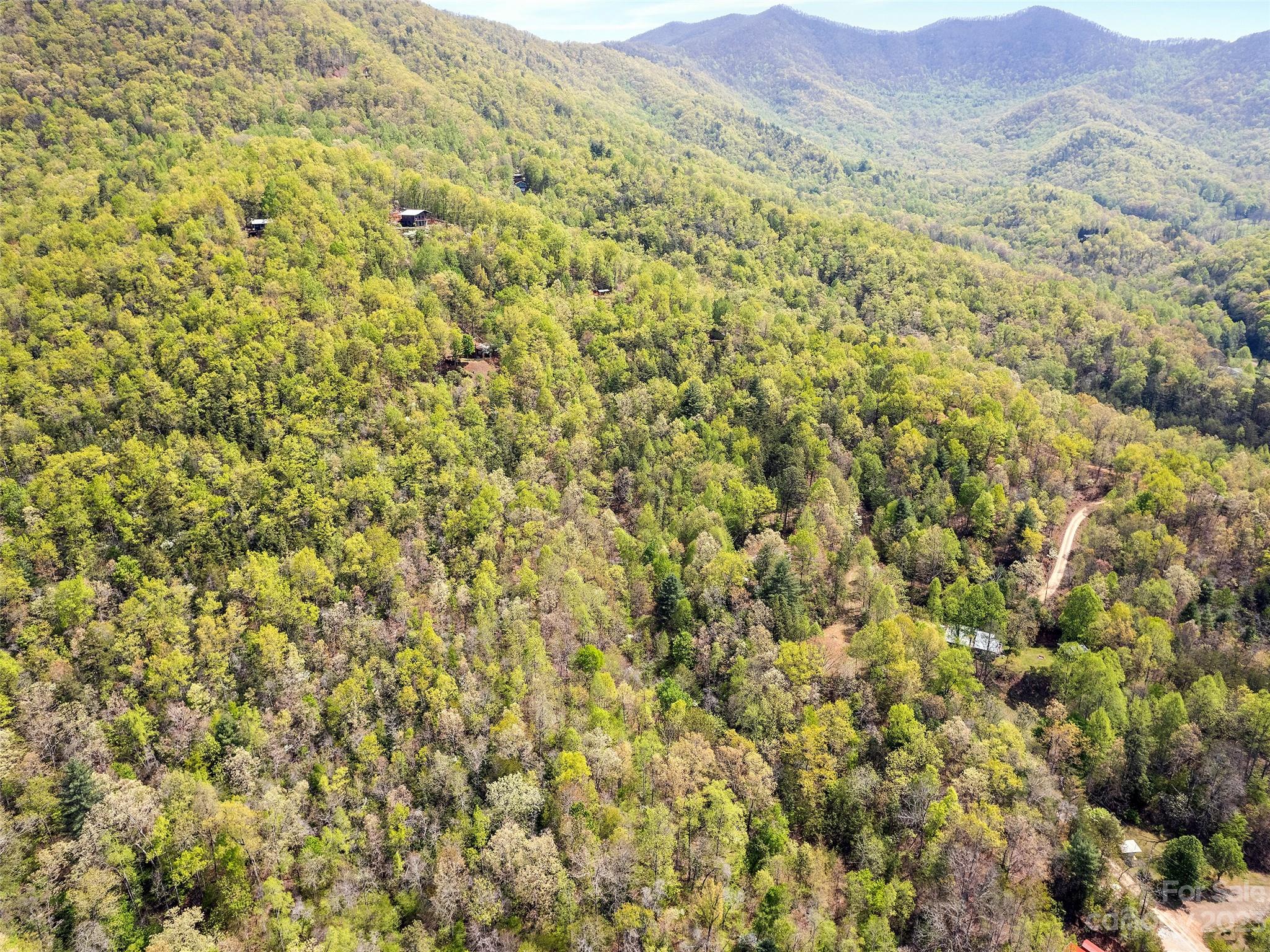 0 Cherokee Mine Road Franklin, NC 28734 - Photo 3 of 16 Gallery Image 3