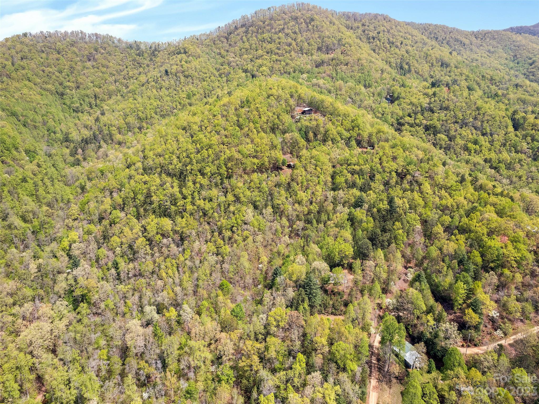 0 Cherokee Mine Road Franklin, NC 28734 - Photo 4 of 16 Gallery Image 4