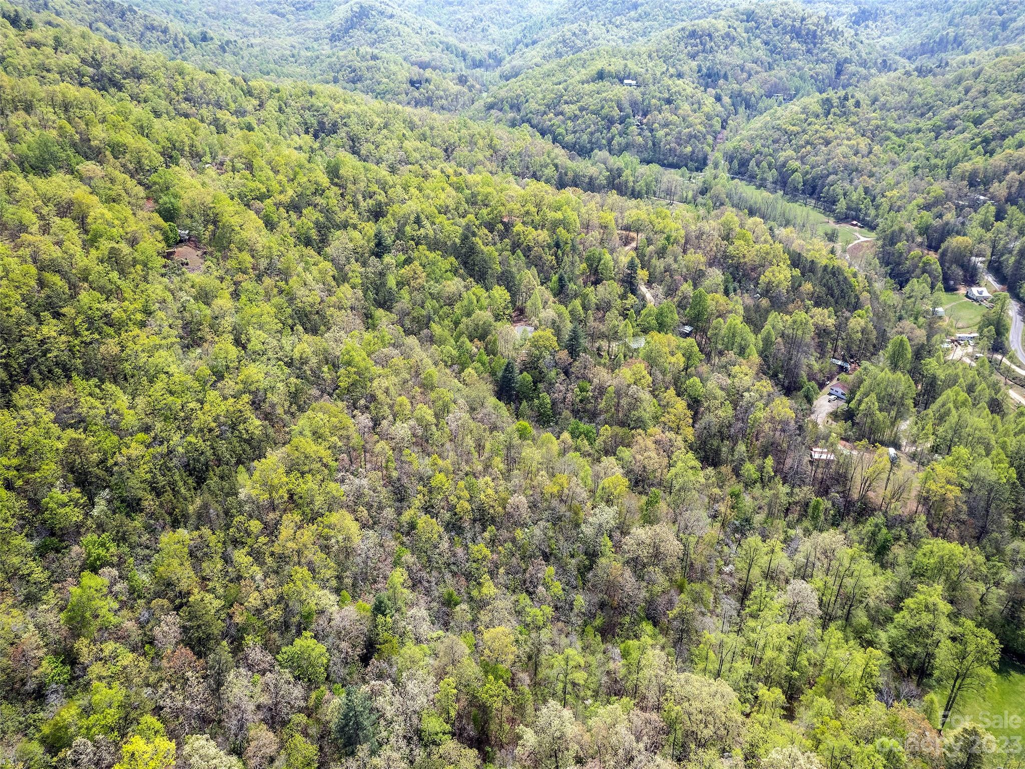 0 Cherokee Mine Road Franklin, NC 28734 - Photo 6 of 16 Gallery Image 6