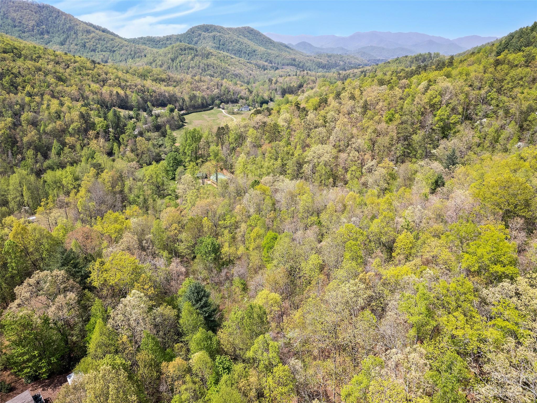 0 Cherokee Mine Road Franklin, NC 28734 - Photo 8 of 16 Gallery Image 8