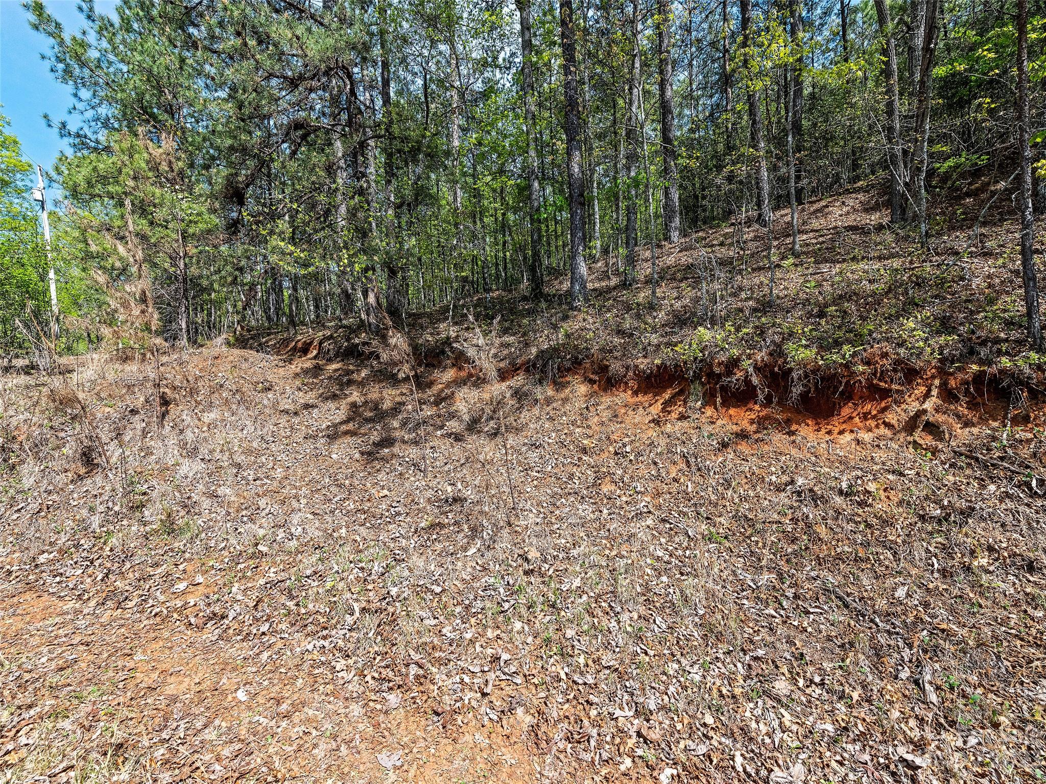 0 Cherokee Mine Road Franklin, NC 28734 - Photo 9 of 16 Gallery Image 9